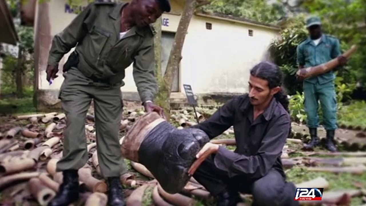 When ivory finances terror…Insight, Monday at 19.10 GMT on i24news.