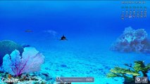 3D Marine Aquarium -  Démo vidéo