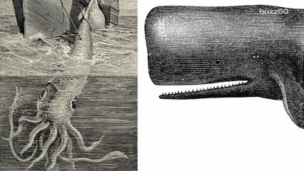 Larger Than A Bus Mega-Squid Is Out There