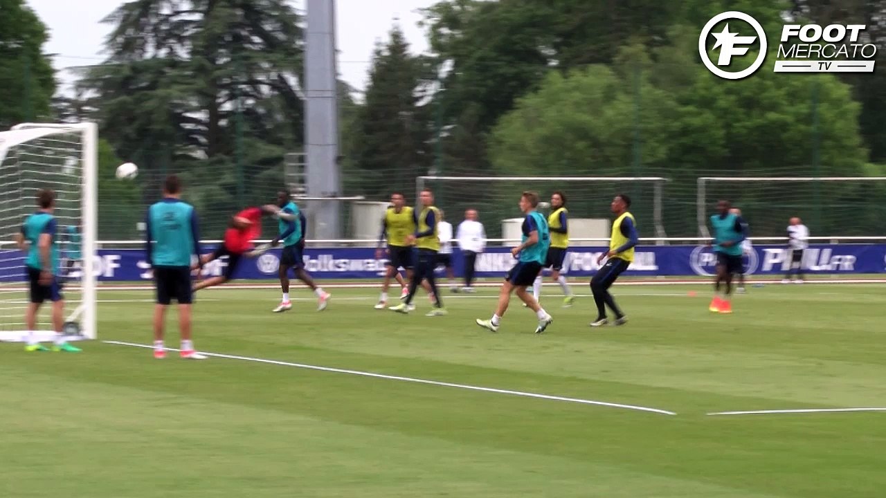 L'enroulé de Ben Arfa, la volée acrobatique de Schneiderlin