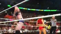Nikki Bella vs Paige RESULTS (Divas Championship Match) - WWE Money In The Bank 6-14-15