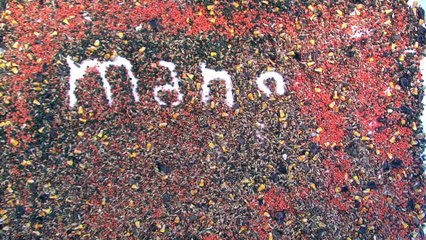 Mange moi, si tu m'aimes