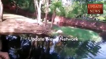 Man Jumps Into Lion Lounge In Nehru Zoological Park in Hyderabad India