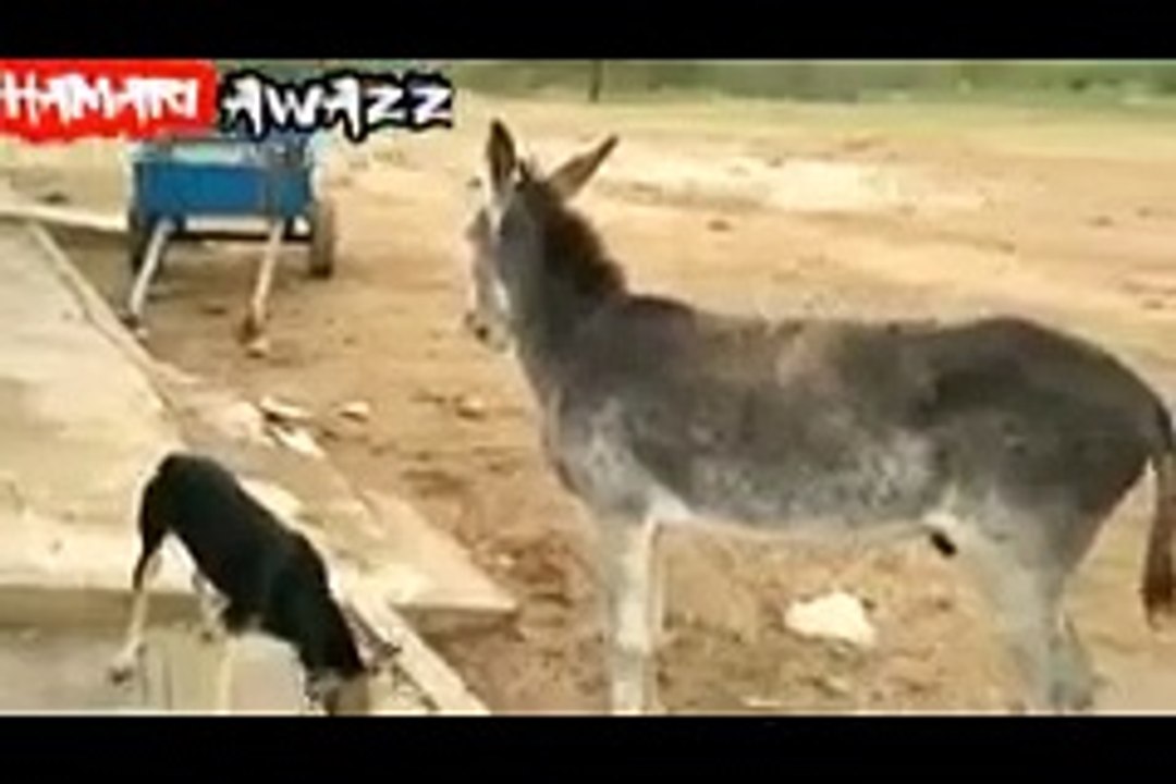 Is tarha nai to us tarhan sahiii :D