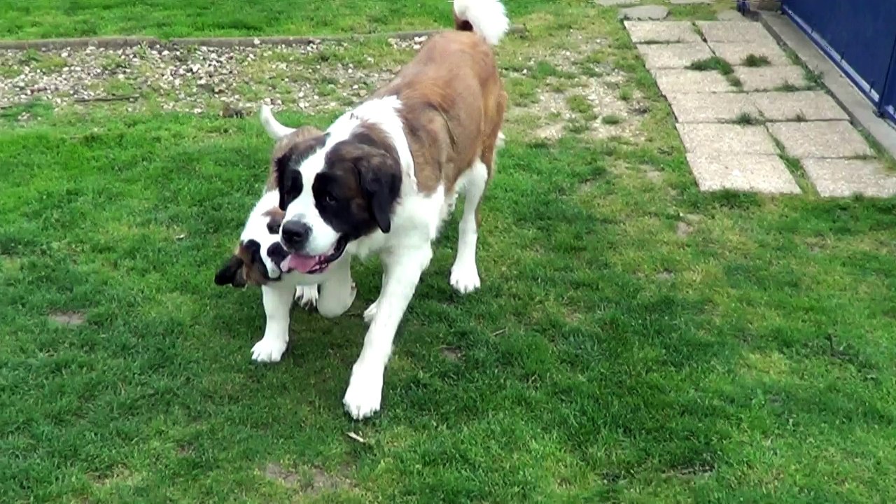 MAYAH et sa maman HENDJIE 2016-05-26