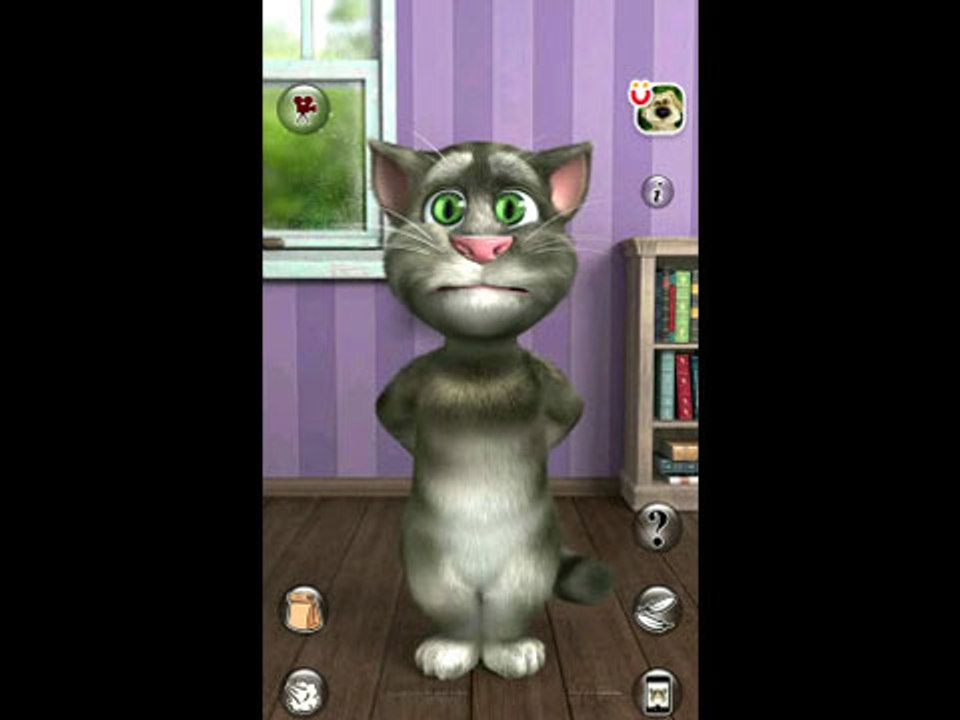 Talking Tom Cat 2
