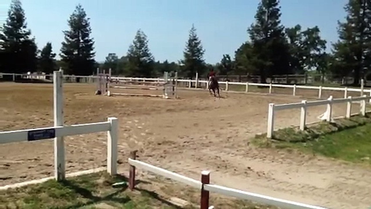 Firebolt (Alba) at SREC 7-28-13