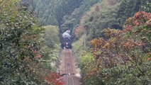 SLやまぐち号　田代トンネル上  2012.11.10