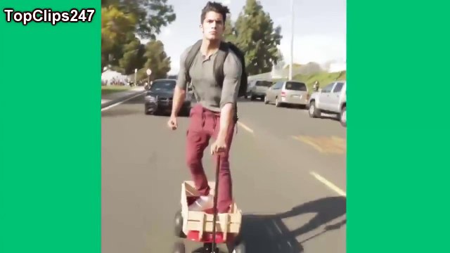 Aarons Animals VINES Compilation - Best Videos Funny Animal Videos 2016 - Funny Pets