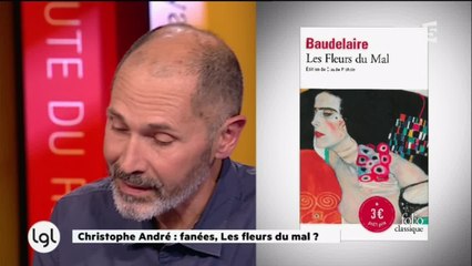Pourquoi Christophe André n'aime pas du tout Les Fleurs du Mal