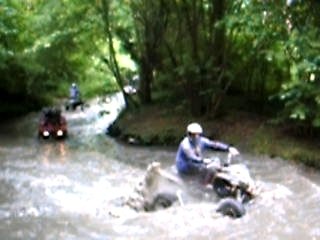 l'aise comme des canards