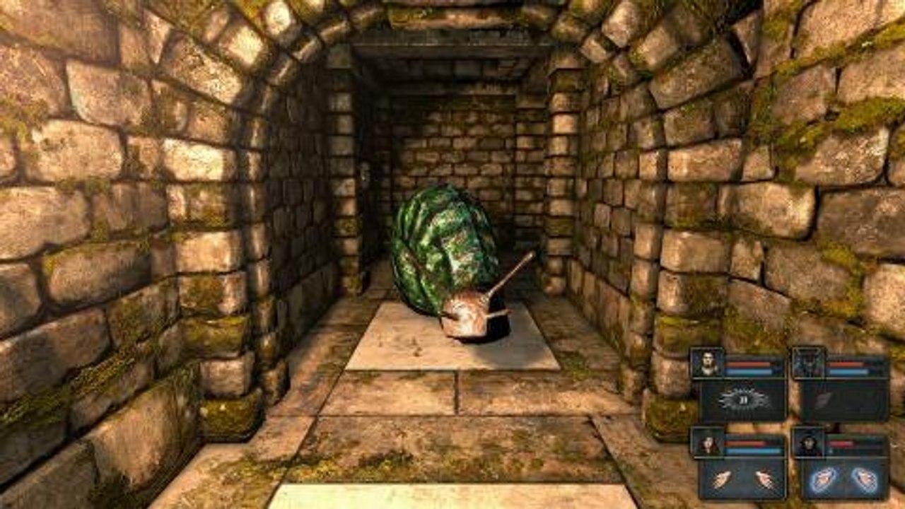 Der Beginn von Legend of Grimrock im Video