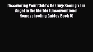 Read Discovering Your Child's Destiny: Seeing Your Angel in the Marble (Unconventional Homeschooling