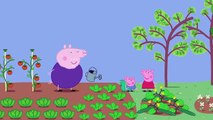 Peppa Pig - Dublado - Português - O Almoço