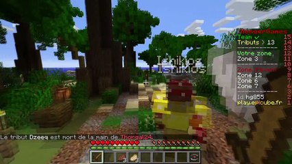 [FR] Minecraft : Hunger Games - Chroniques d'un nullard