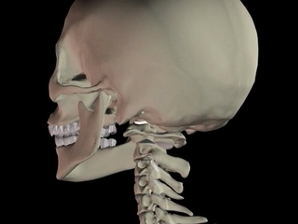 Rotation RC complet PROFIL