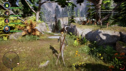 Shelma Finds Mother Giselle | Dragon Age : Inquisition