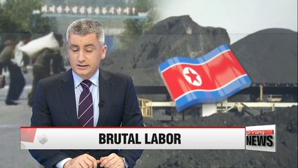 N. Korea's mining exports should be restricted: report