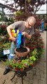 How to plant a hanging basket in under 5 mins
