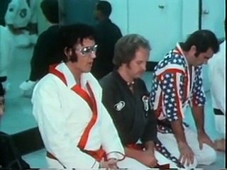 ☆ Evis Presley ☆ Karaté  ☆ By Skutnik Michel ☆