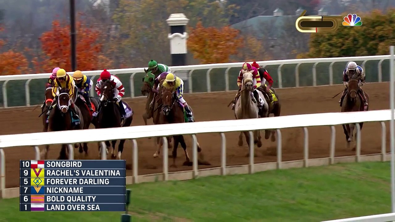 2015 Breeders Cup 14 Hands Winery Juvenile Fillies