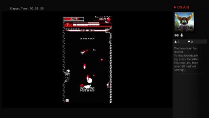 Downwell (33)
