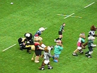 Flash the Falcons at Twinckenham