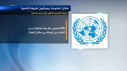 نفاد الغذاء والدواء وازدياد معاناة أهالي الفلوجة