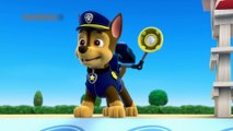 PAW Patrol Pups Save a Pool Day   Circus Pup Formers 2 01.06.2016