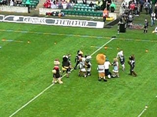 Flash the Falcons at Twinckenham 2