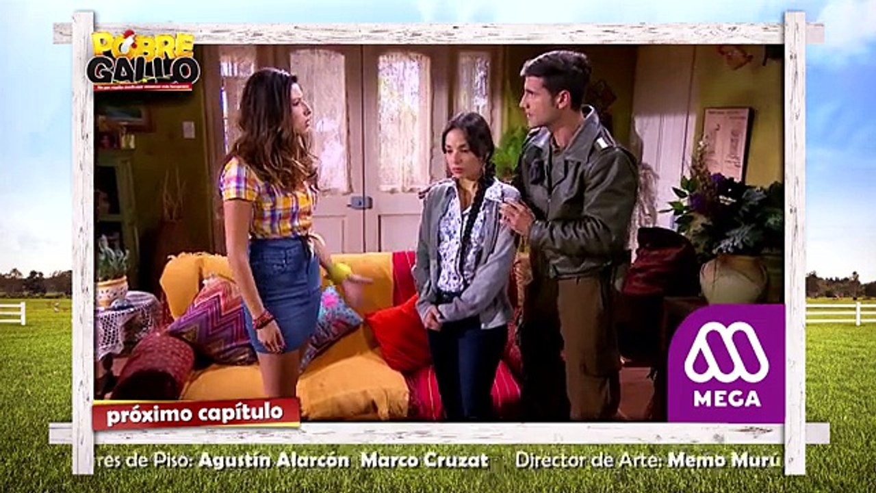 100 Avance Pobre Gallo