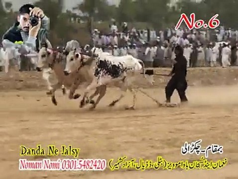 T.A.M.A.S.H.A 6th Time at Chakrali - Cheena Kabooter (26-05-2016))