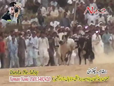 T.A.M.A.S.H.A 2nd Time 32.38 At Chakrhali 26.05.2016 Owner Ch Shafiq . Ch Azad , Ch Ayaz Chullo Mirgala Dand Kaliya Ak
