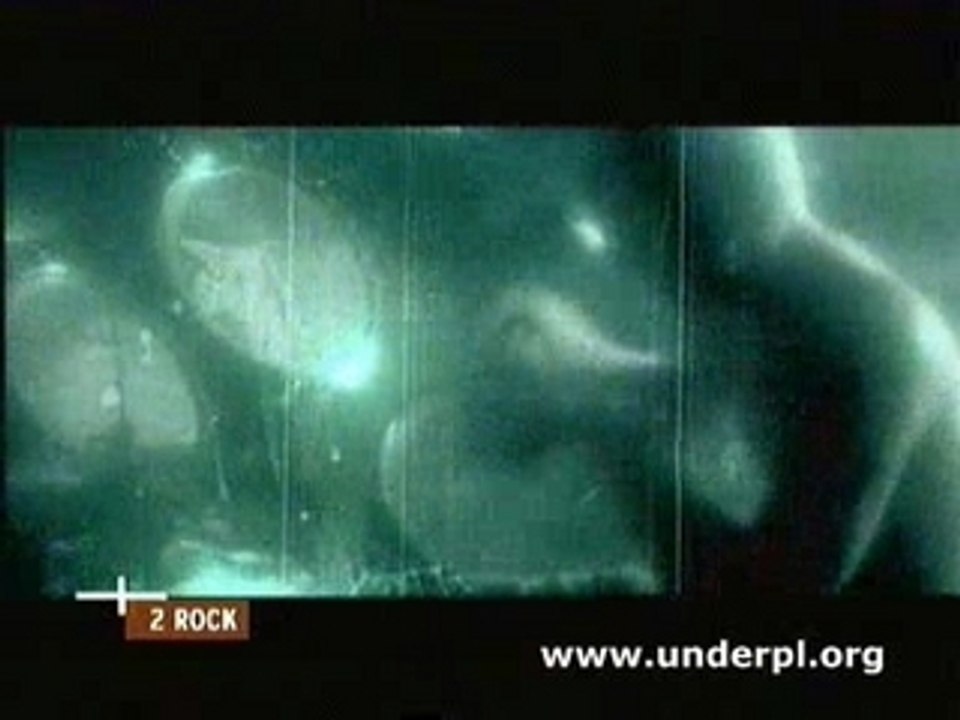 The Offspring - Gone Away