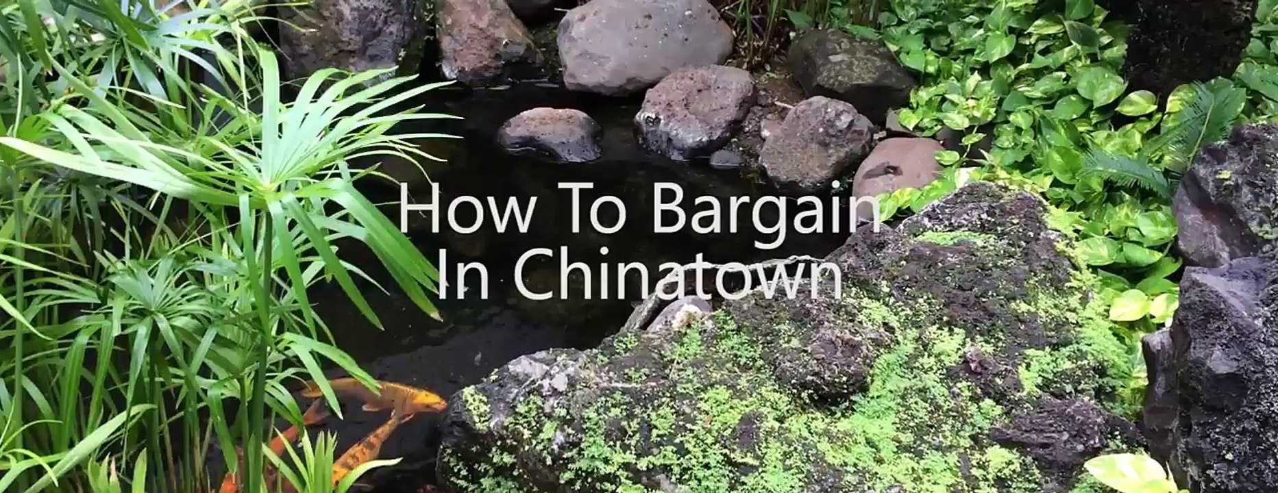 How To Bargain In Chinatown
