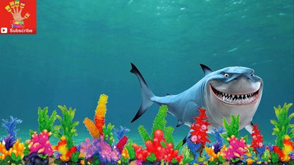 Finding Nemo Finger Family Song - Finding Dory.
