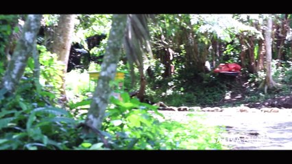 Explore Nusakambangan Cilacap Central Java Indonesia