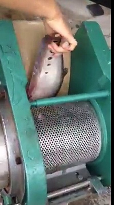 Máy tách xương cá CR300, máy lọc xương cá sông, máy ép xương cá làm chả cá,máy lọc xương cá thác lác