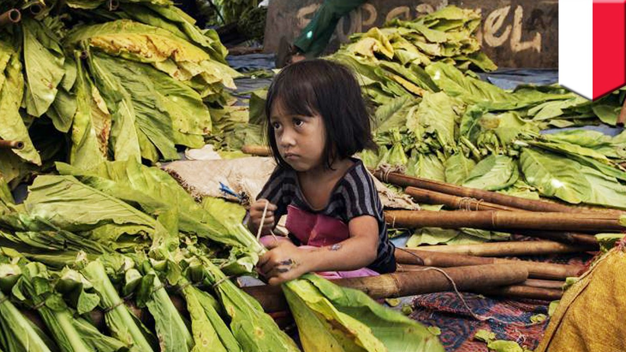 The cigarettes you smoke could be poisoning 8-year-old Indonesian children