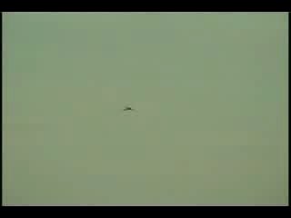 Argentine Super Etendard