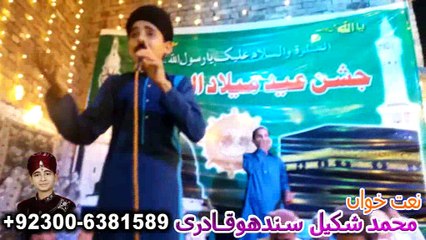 Muhammad Shakeel Sandhu Qadri