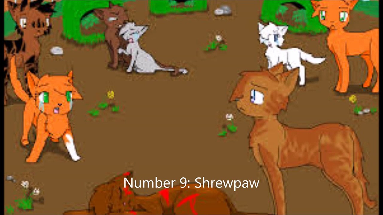 warrior cats top 10 saddest deaths