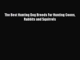 Read The Best Hunting Dog Breeds For Hunting Coons Rabbits and Squirrels Book Online