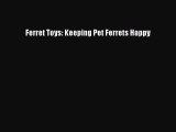 Download Ferret Toys: Keeping Pet Ferrets Happy Book Online