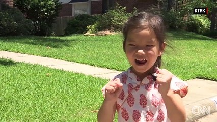 Goose attack on 5-year-old girl goes viral