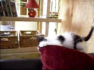 Photo week end st go 041