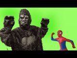 Spiderman vs Gorilla - Banana Prank W_ Frozen Elsa - in Real Life Superhero Movie! (1080p_60fps_H264-128kbit_AAC)