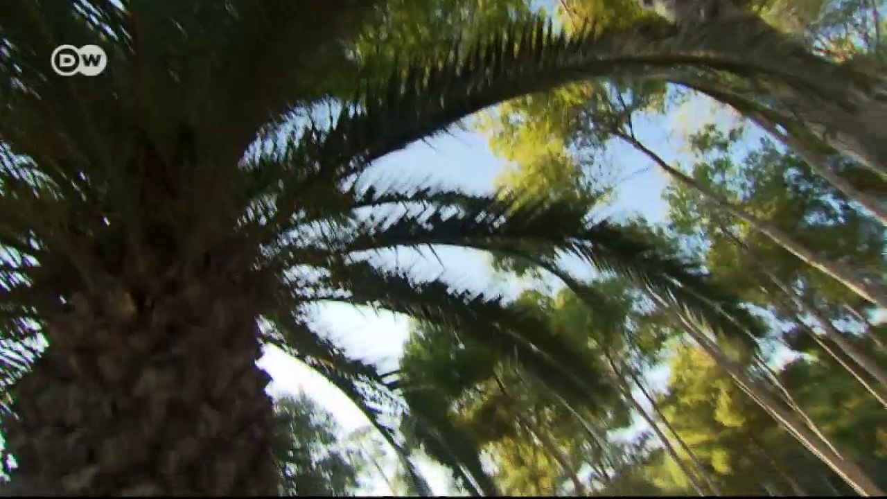 Der Trial-Bike-Weltmeister Kenny Belaey | Euromaxx