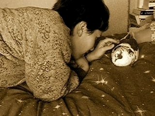 Encore et toujours des carressesv à Titi ^^