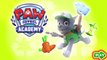 Paw Patrol Academy - Paw Patrol: Rocky Recycling Challenge